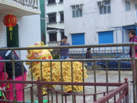 lion dance2