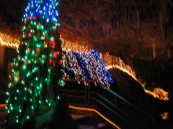 クリスマスかよ