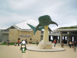 水族館正面入口