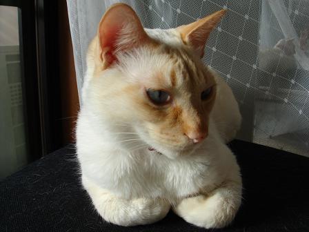 そら