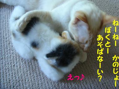 ナンパ