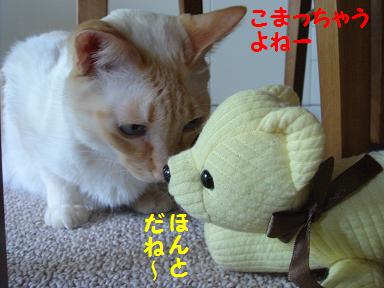 会議