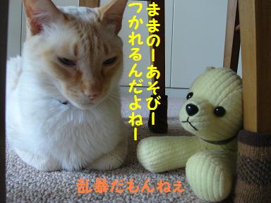 会議