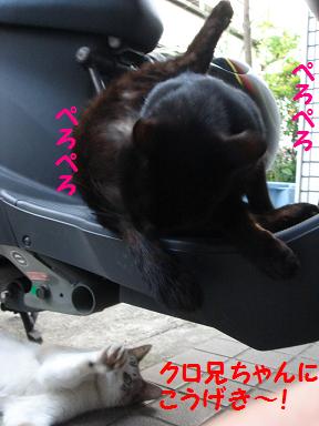 スケ＆クロ