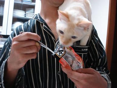 そら