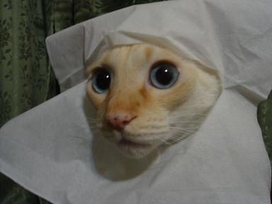 そら