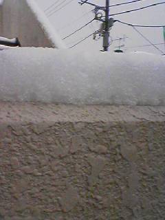 積もった雪.jpg