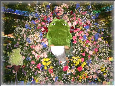 モリコロ花の惑星