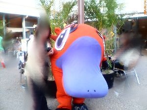 かもねちゃんと一緒