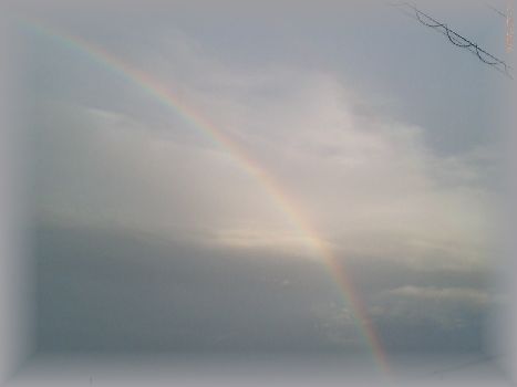 台風の後の虹