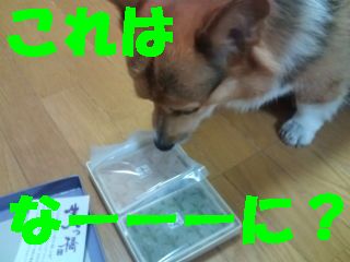 コナン京都土産１