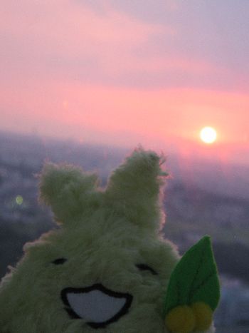 夕焼けとキッコロ