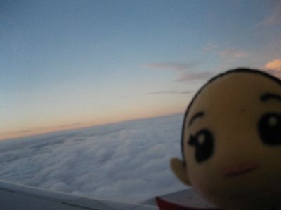 帰りの飛行機