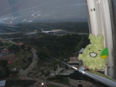 グローバルハウス