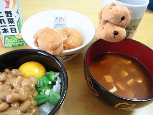 9日昼ごはん