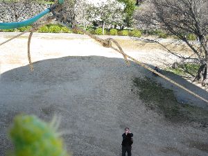 下の父