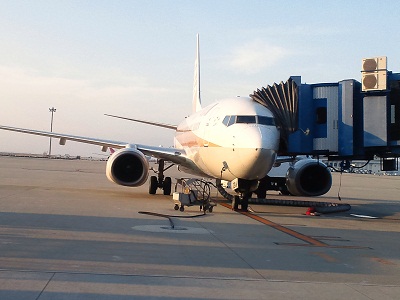 ゴールド全日空機