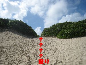 砂山ビーチ帰り道