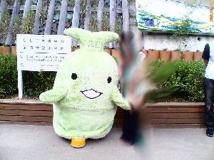 キッコロと一緒