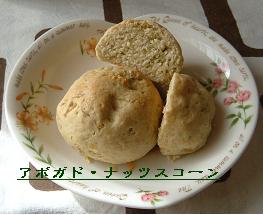 avogadonuts