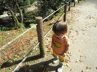 2010_1127画像0085.jpg