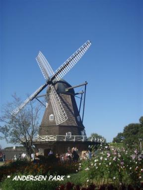 PA282864.JPG