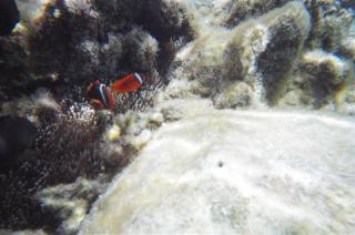 画像 185.jpg