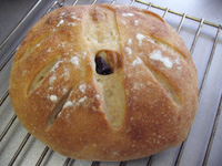 画像 003.jpg