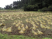 画像 013.jpg