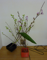 ikebana.jpg