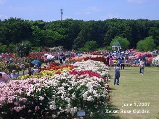 keisei