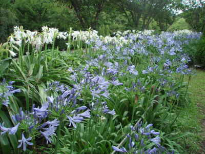 7.6ｱｶﾞﾊﾟﾝｻｽ2