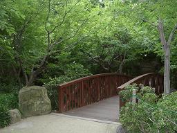 「中（ちゅう）自然の森」・2