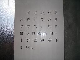 画像 105a.JPG