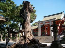 10.13.例祭・38.JPG