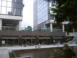 「中（ちゅう）自然の森」