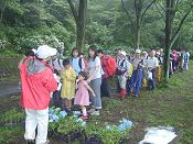 先着50名様に紫陽花の花プレゼント