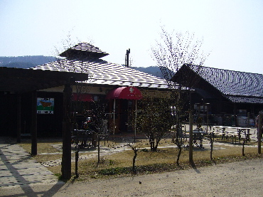P1010029gotorate.jpg