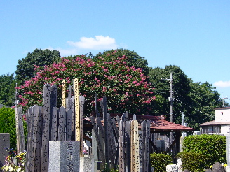P1030378hak2.jpg