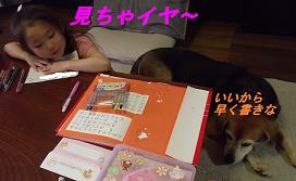 見ないでー