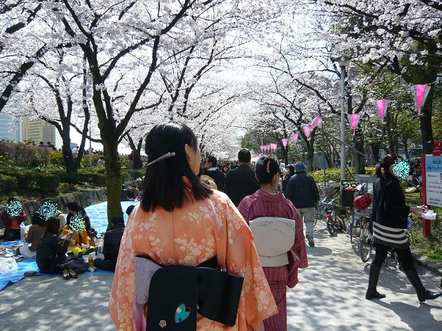 4.3 浅草 sakura.JPG