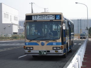 y-sieibus-11