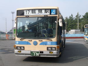 y-sieibus-13