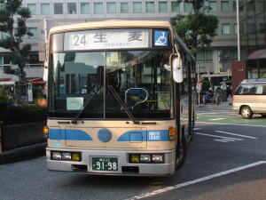 y-sieibus-26