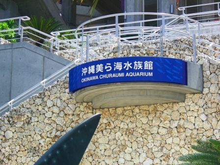 美ら海水族館１