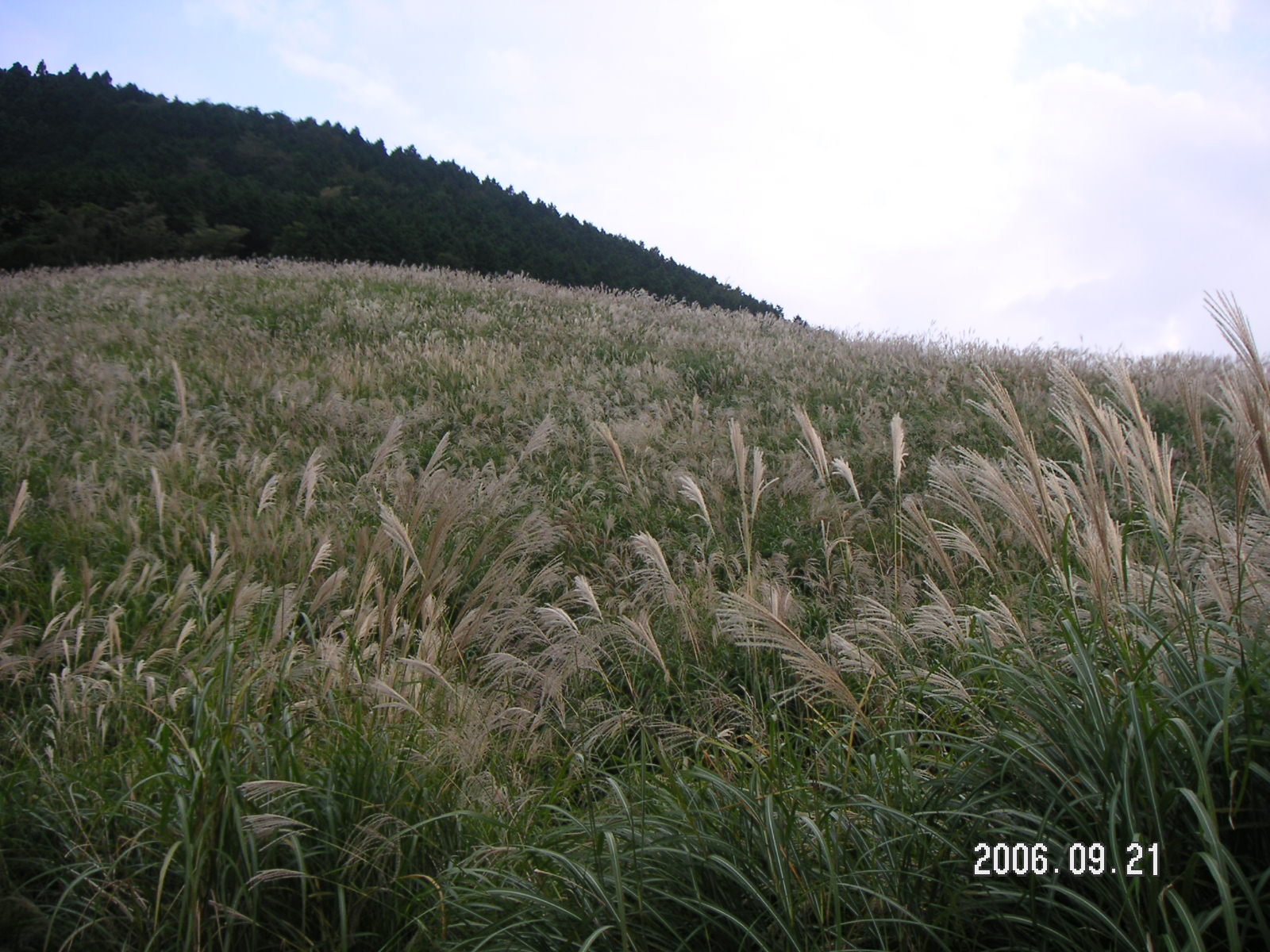 PICT0311.JPG