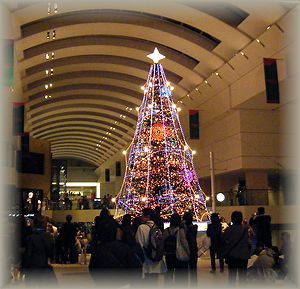 20081108_yokohama_tree.jpg