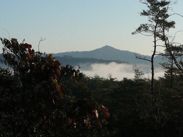 濃霧の金華山2.jpg