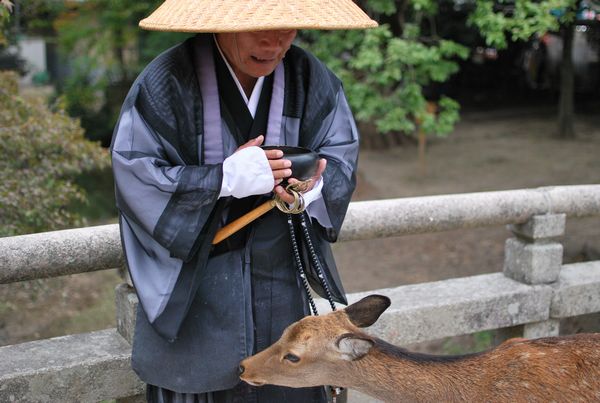 奈良その４.jpg