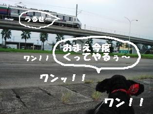 DSC02404-1.JPG